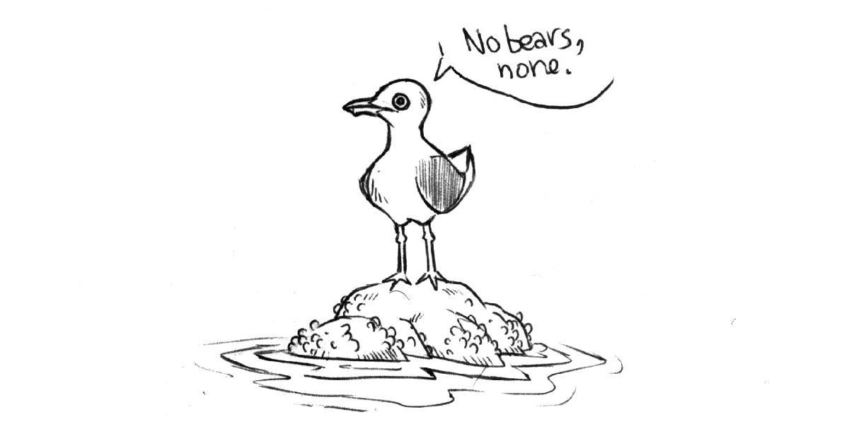 a gull on a rock saying: no bears none