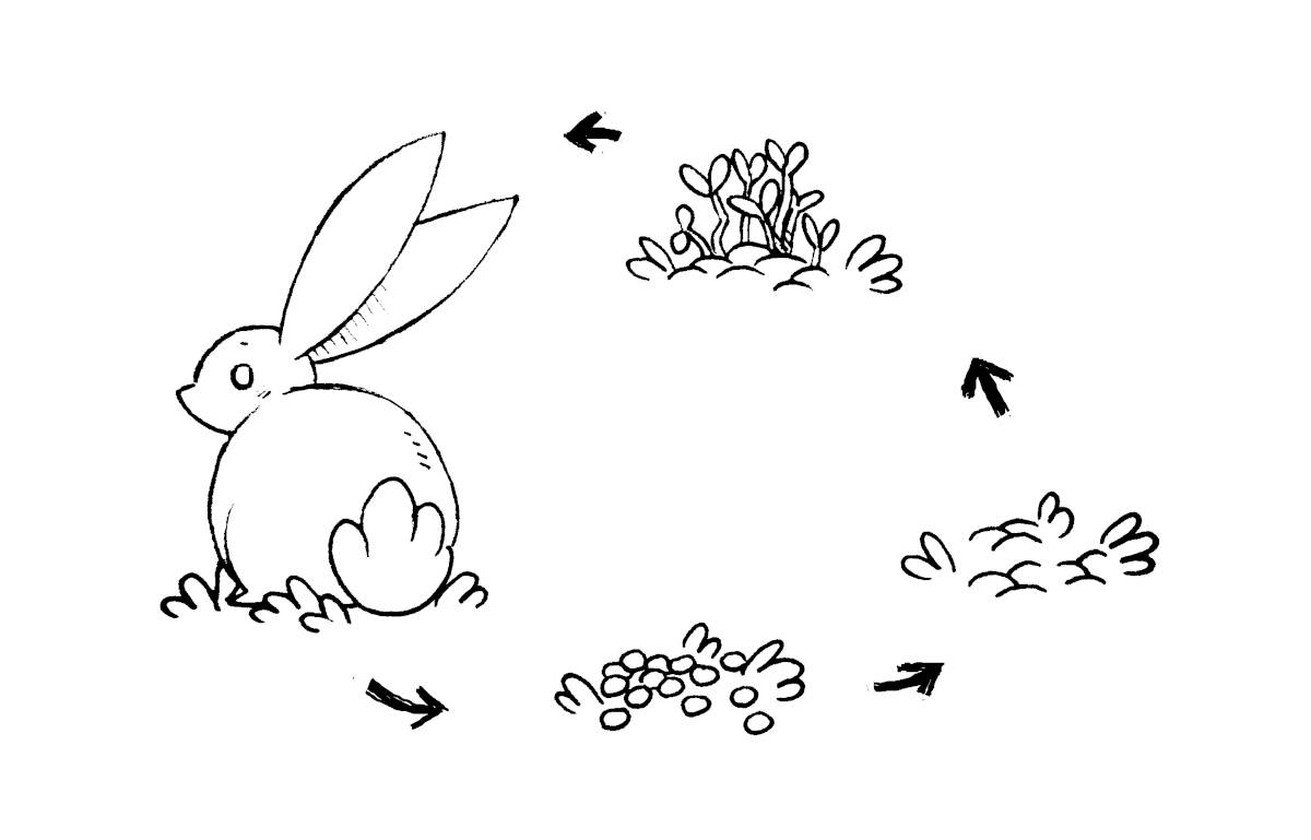 a rabbit, and its poop becoming humus, with plants growing out of it before being eaten by the rabbit