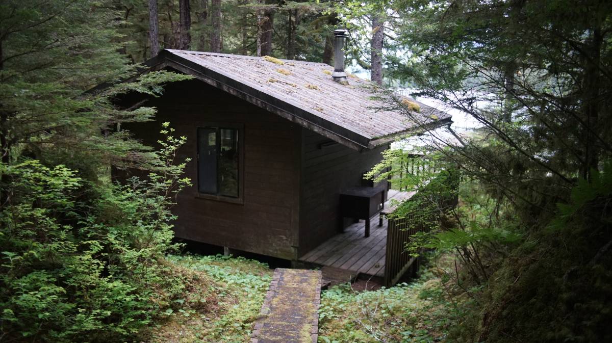 a cabin surrounded by greenery