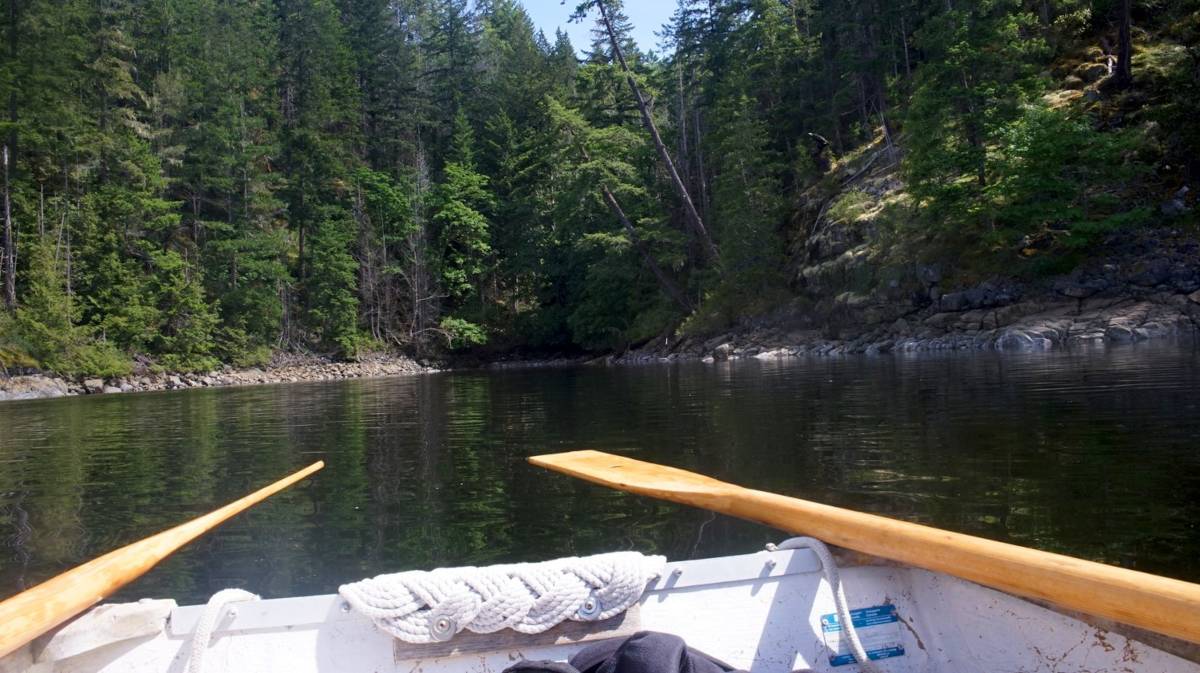 first person view from insire a small rowing dinghy, surrounded by forest