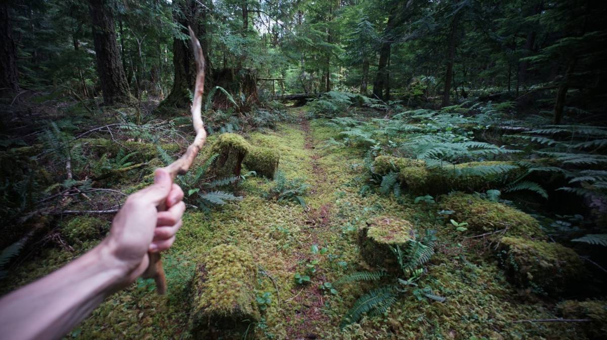 a forest path, with a hand holding a stick to remove cobwebs from inbetween trees