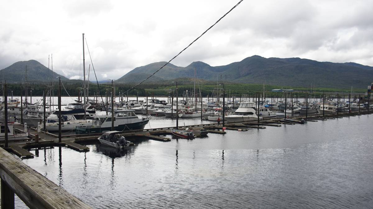 pino moored in bar harbor north