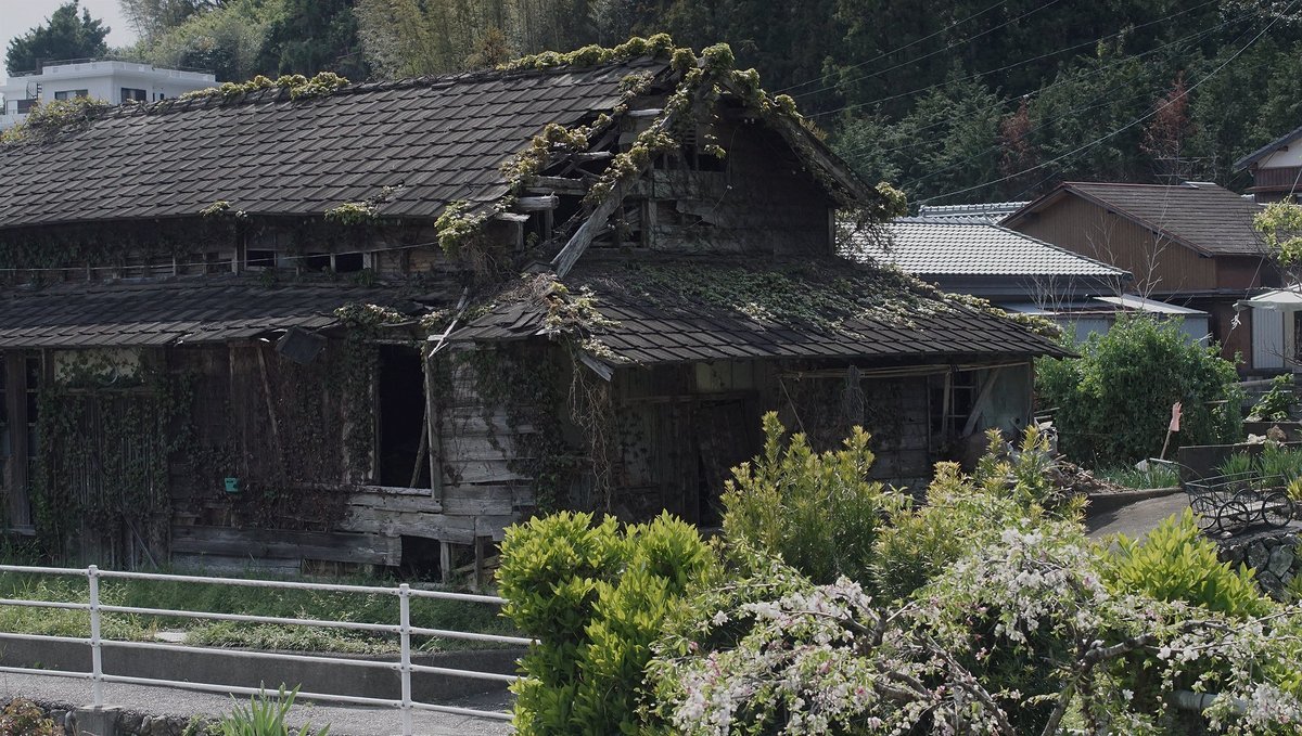 a photo of an abandoned wooden house in japan, with moss growing on its roof