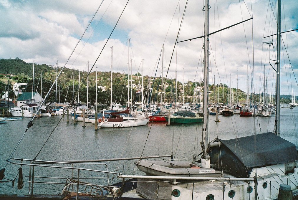 pino moored onto a pile mooring in the whangarei town basin