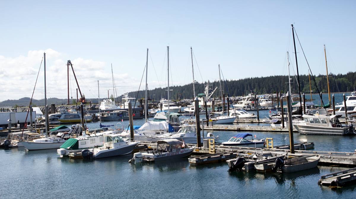 a view of the port mcneill municipal docks in the foreground, with north island marina in the background