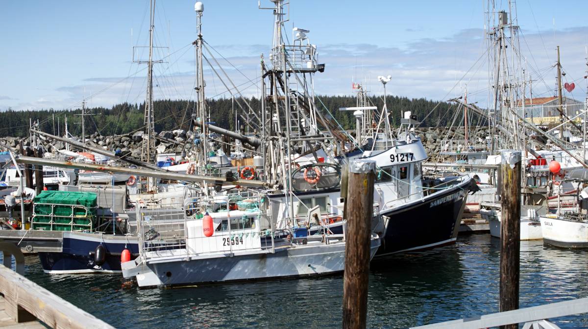 the port mcneill federal docks, full of fishing boats