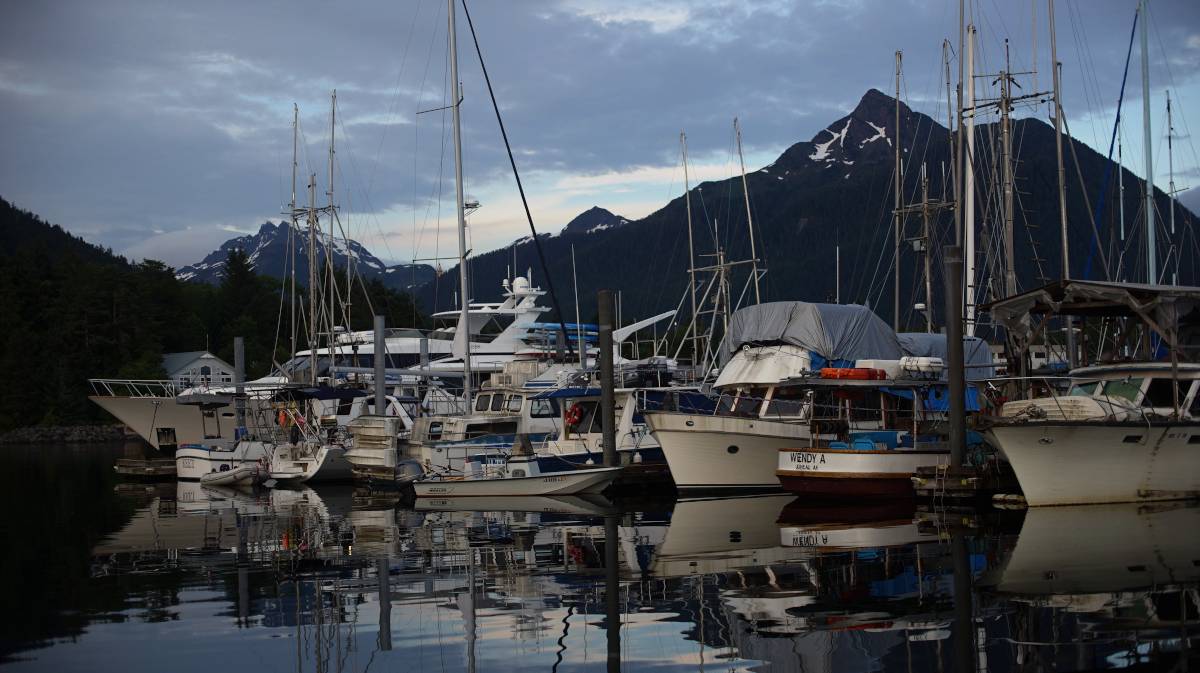 boats at a dock in Eliason Harbor