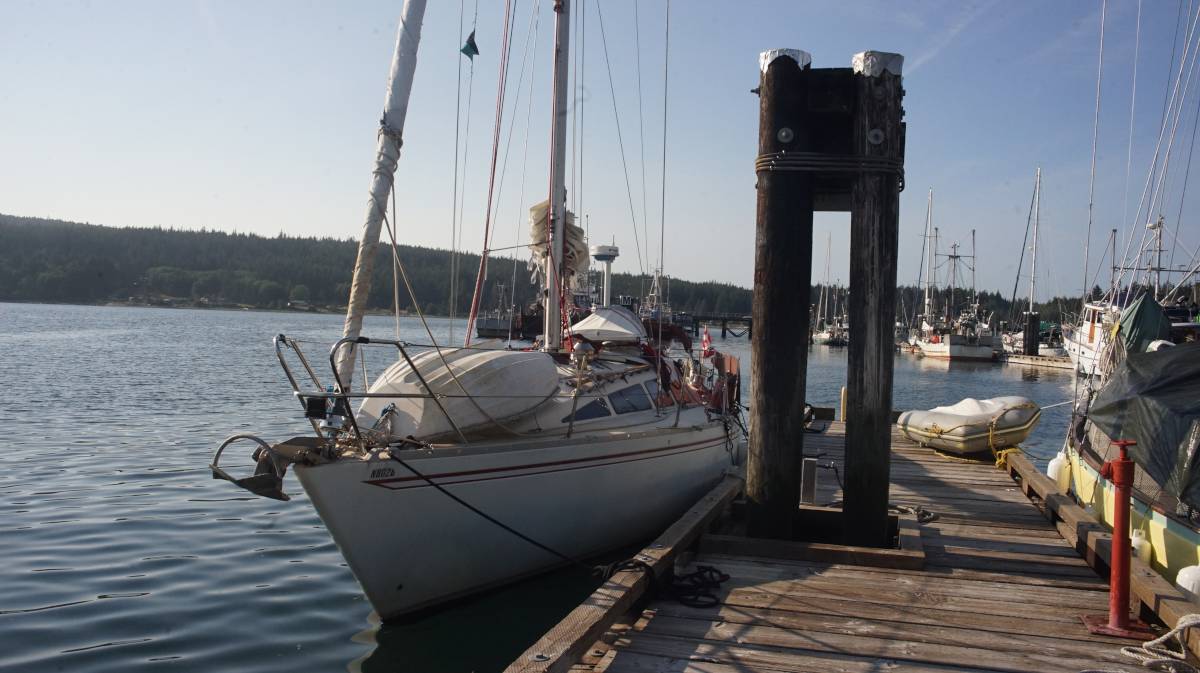 pino moored onto the lions harbour authority docks