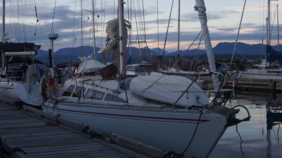 pino on the texada boating club docks