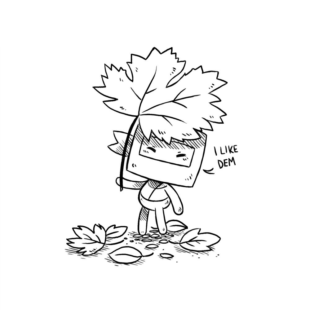 ninj saying: i like dem, while holding a giant maple leaf over his head